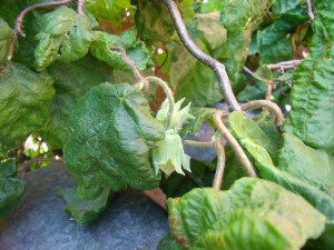 19072010 018-800.jpg