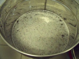 19072010 002-800.jpg