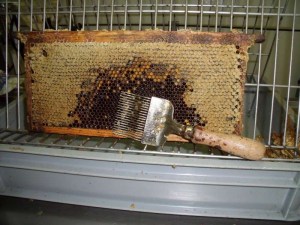 18072010 005-800.jpg