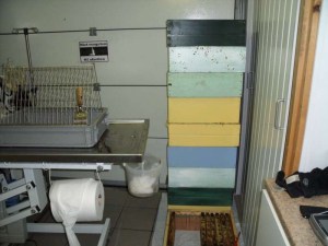 18072010 004-800.jpg