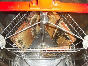 18072010 007-800.jpg