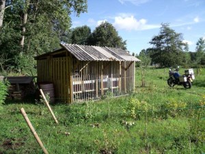 bijstand 006-800.jpg