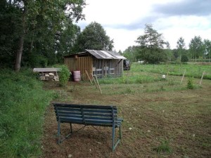 bijstand 014-800.jpg