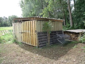 bijstand 009-800.jpg