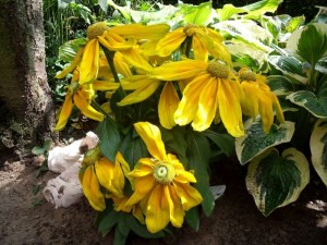 0808072010 005-800.jpg