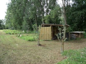 bijstand 007-800.jpg