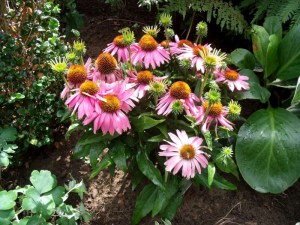 0808072010 003-800.jpg