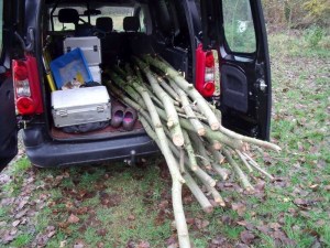 11112010 002-800.jpg