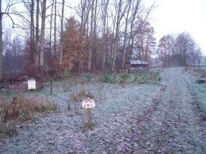 21112010 030-800.jpg