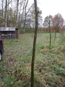 11112010 005-800.jpg