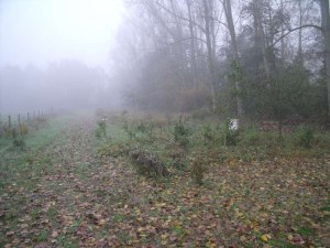 01112010 002-800.jpg