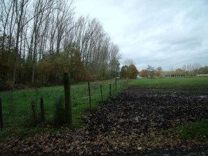 11112010 001-800.jpg