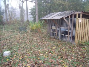 01112010 003-800.jpg