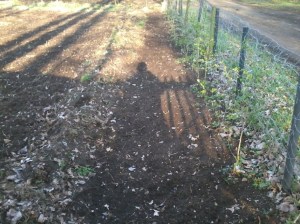 frezen, bloemenmengsel