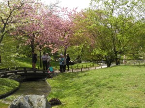 Japanse tuin, Hasselt
