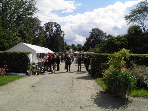 plantenmarkt Hoegaarden