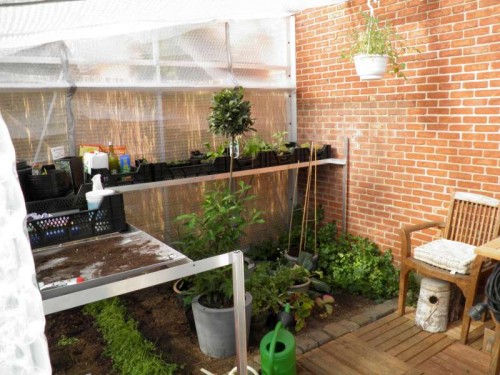 stekjes, serre, winterisolatie