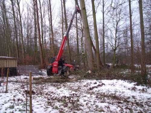 vellen gevaarlijke boom