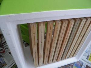 adapter segeberger - Kempische kast 1