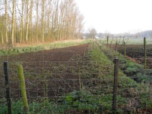 26032012 007-800.jpg