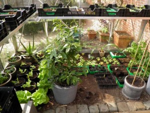 03042012 004-800.jpg