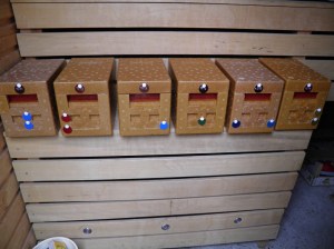 apideas in saunacabine