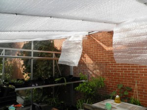 serre, isolatie, folie