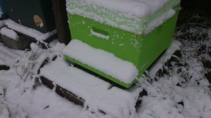 sneeuw op vliegplank