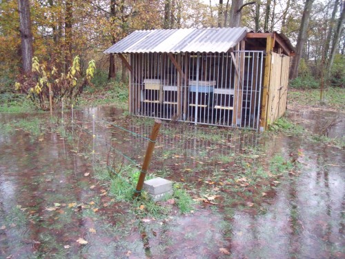waterstand, bijenstand