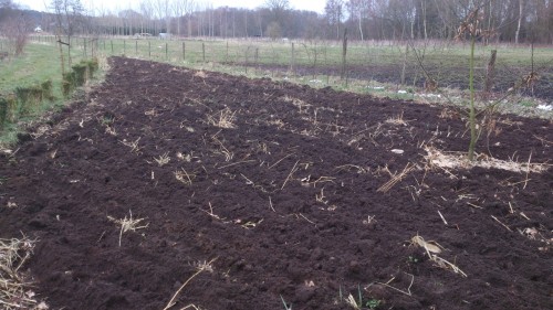 phaceliaveld geploegd