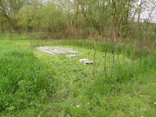 wilgenstand (Custom).JPG