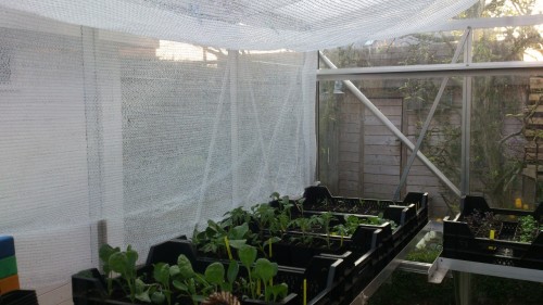 DSC_0371 (Custom).jpg