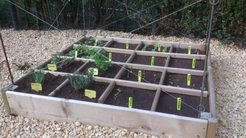 serre,moestuin,kruidentuin