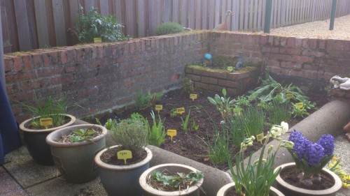 serre,moestuin,kruidentuin