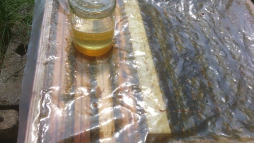 Voedersiroop voor jonge volkjes