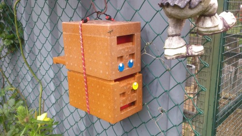 DSC_0424 (Custom).jpg