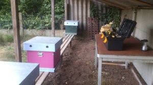 DSC_0500 (Custom).jpg