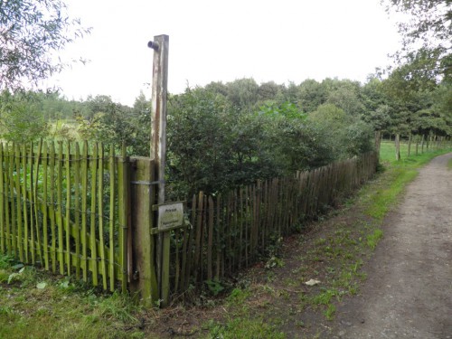 P8310004 (Custom).JPG