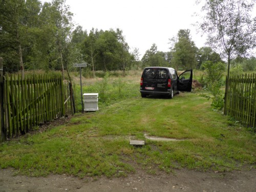 P9010010 (Custom).JPG