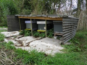 winterafdekking bijenkasten