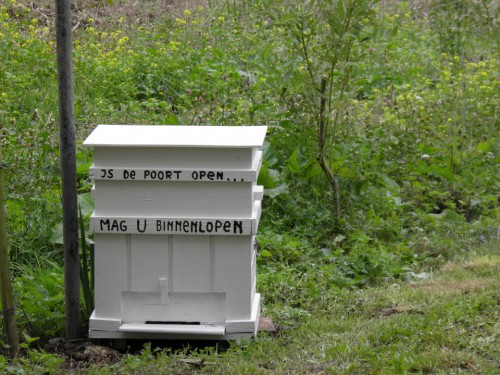 P9010011 (Custom).JPG