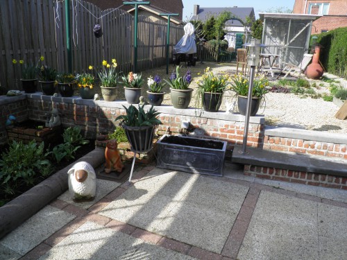 terras, voorjaarsbollen