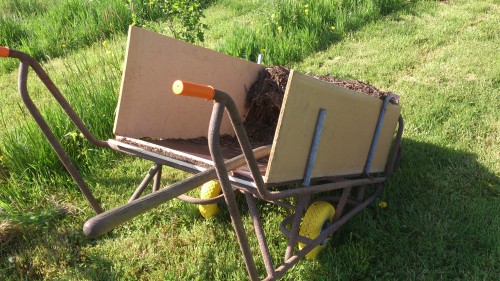 stootkar, houthaksel