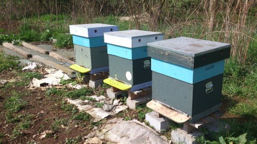 productievolken, honingzolder