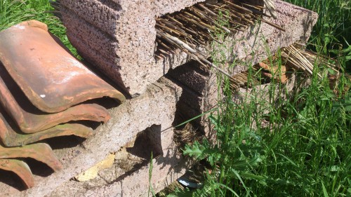 bijenhotel, merelnest