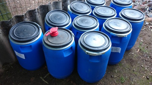 wintervoeding,apigold