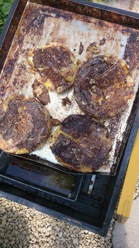 zonnewassmelter, honingoogst, perskoek was