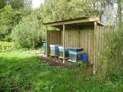 winterstal, bijenkasten