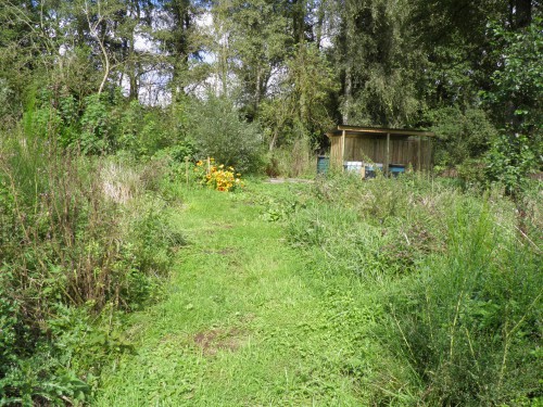 wandelpad, waterbroek