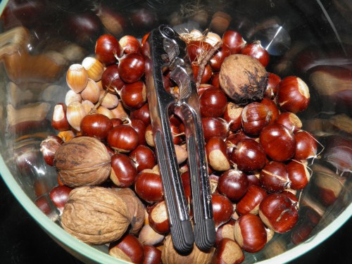kastanjes en noten